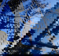 Trees Adventure Nowra Park - Sunshine Coast Tourism