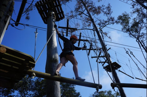 Trees Adventure Nowra Park - Holiday Sunshine Coast 0