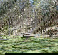 Wallaby Walking Track