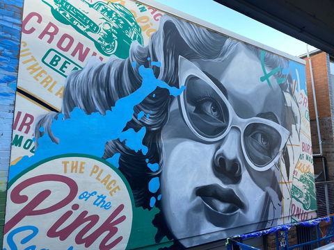 Walk The Walls Cronulla Street Art Trail - Sunshine Coast Tourism 2