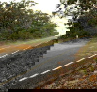 Warrah Trig cycling loop - Holiday Sunshine Coast