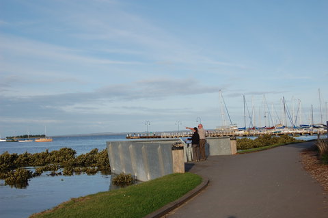 Western Port Bay Trail - Cycling - Holiday Sunshine Coast 0