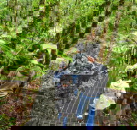 Yarra Ranges National Park - Sunshine Coast Tourism