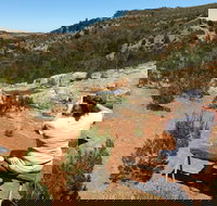 Yeldulknie Conservation Park Hiking Trail - Sunshine Coast Tourism