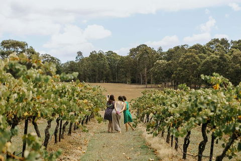 Hunter Valley Premium Food & Drink Pairing Tour - Sunshine Coast Tourism 5