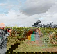 Sample the Hunter Half Day Tour with Lunch - Sunshine Coast Tourism