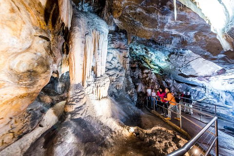Jenolan Caves: Chifley Cave Tour - Sunshine Coast Tourism 0