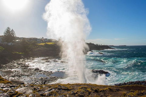 Private Tour: Sydney South Coast & Highlands - Sunshine Coast Tourism 4