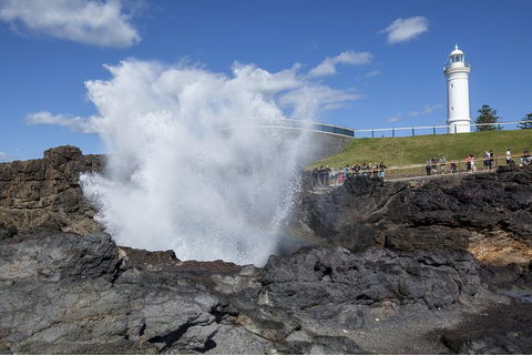 Private Tour: Sydney South Coast & Highlands - Sunshine Coast Tourism 2