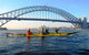 Beautiful Sydney Sunriser Kayaking Tour - thumb 5