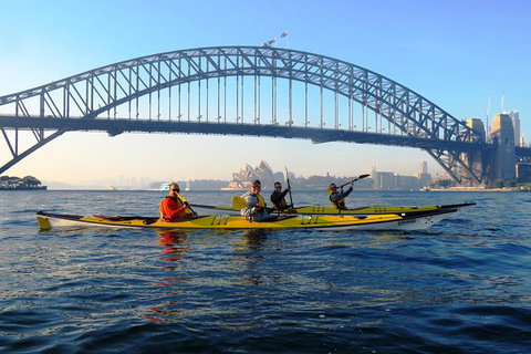 Beautiful Sydney Sunriser Kayaking Tour - Sunshine Coast Tourism 5