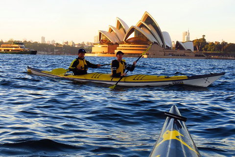 Beautiful Sydney Sunriser Kayaking Tour - Sunshine Coast Tourism 4