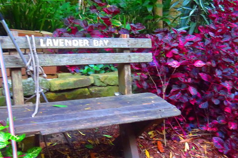 Beautiful Sydney Sunriser Kayaking Tour - Sunshine Coast Tourism 7