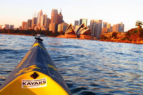 Beautiful Sydney Sunriser Kayaking Tour - Sunshine Coast Tourism 8