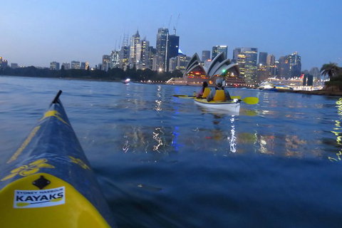 Beautiful Sydney Sunriser Kayaking Tour - Sunshine Coast Tourism 6