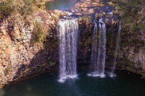 Rainforest & Waterfall Experience - Sunshine Coast Tourism 1