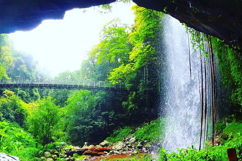 Rainforest & Waterfall Experience - Sunshine Coast Tourism 6