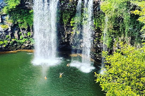 Rainforest & Waterfall Experience - Sunshine Coast Tourism 2