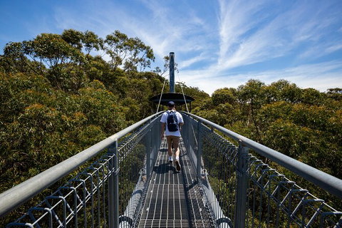Illawarra Fly Treetop Adventures Treetop Walk Admission Ticket - Sunshine Coast Tourism 0