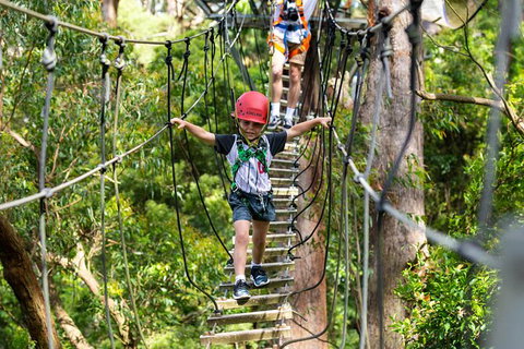 Illawarra Fly Treetop Adventures Treetop Walk Admission Ticket - Sunshine Coast Tourism 3