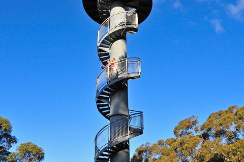 Illawarra Fly Treetop Adventures Treetop Walk Admission Ticket - Sunshine Coast Tourism 5