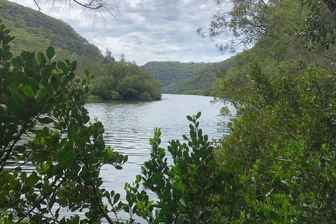 Kayak Berowra Valley - Holiday Sunshine Coast 17