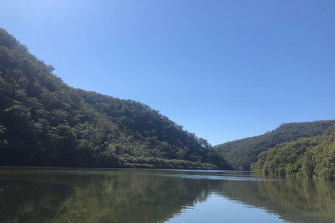 Kayak Berowra Valley - Holiday Sunshine Coast 5