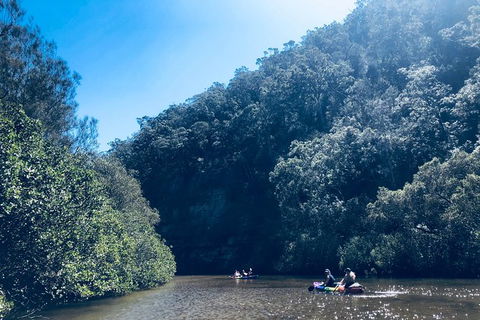 Kayak Berowra Valley - Holiday Sunshine Coast 18