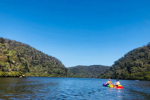Kayak Berowra Valley - Holiday Sunshine Coast 1