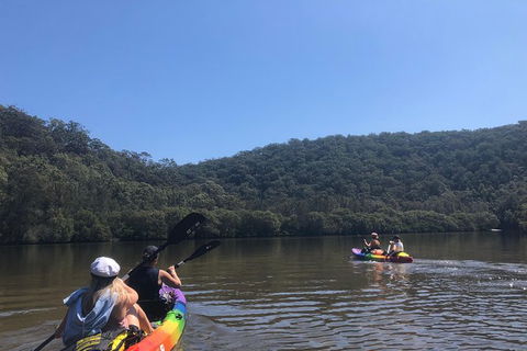 Kayak Berowra Valley - Holiday Sunshine Coast 7