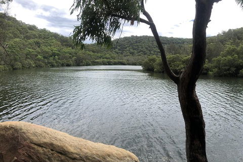 Kayak Berowra Valley - Holiday Sunshine Coast 10