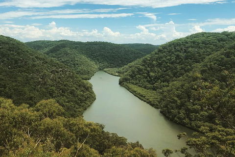 Kayak Berowra Valley - Holiday Sunshine Coast 0