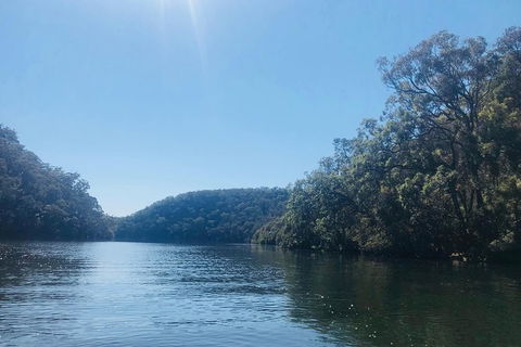 Kayak Berowra Valley - Holiday Sunshine Coast 3
