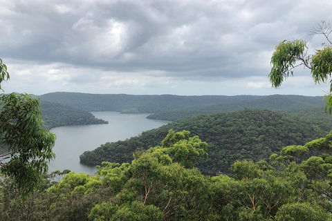 Kayak Berowra Valley - Holiday Sunshine Coast 11