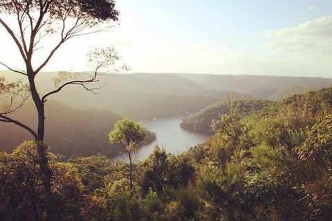 Kayak Berowra Valley - Holiday Sunshine Coast 15