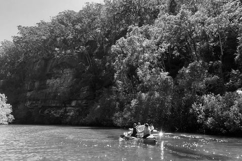 Kayak Berowra Valley - Holiday Sunshine Coast 2