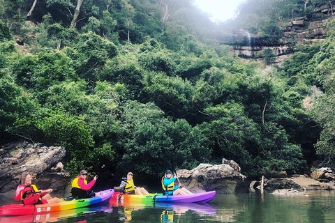 Kayak Berowra Valley - Holiday Sunshine Coast 9