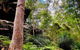 Kayak Berowra Valley - thumb 19
