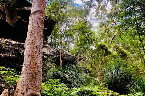 Kayak Berowra Valley - Holiday Sunshine Coast 19