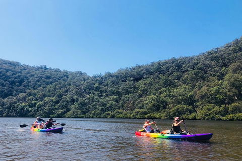 Kayak Berowra Valley - Holiday Sunshine Coast 14