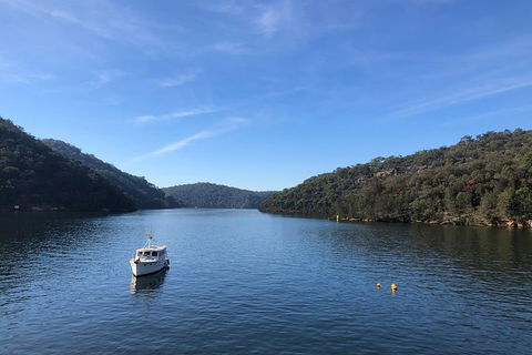 Kayak Berowra Valley - Holiday Sunshine Coast 6