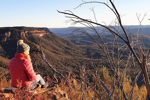 Ultimate Blue Mountains Waterfalls, Walks & Sunset PRIVATE Tour - Sunshine Coast Tourism 5