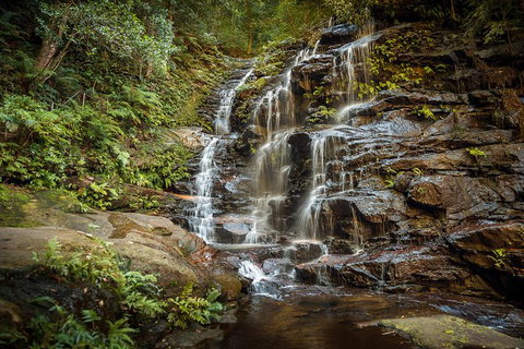Ultimate Blue Mountains Waterfalls, Walks & Sunset PRIVATE Tour - Sunshine Coast Tourism 10