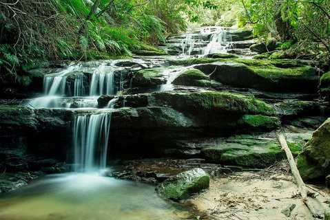 Ultimate Blue Mountains Waterfalls, Walks & Sunset PRIVATE Tour - Sunshine Coast Tourism 2