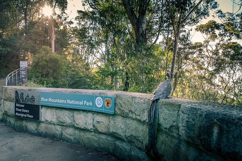 Ultimate Blue Mountains Waterfalls, Walks & Sunset PRIVATE Tour - Sunshine Coast Tourism 8