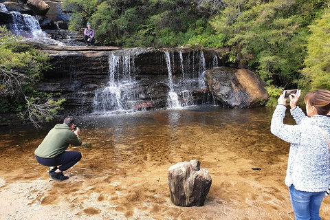 Ultimate Blue Mountains Waterfalls, Walks & Sunset PRIVATE Tour - Sunshine Coast Tourism 0