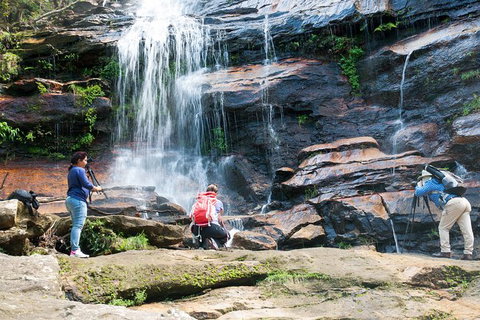 Ultimate Blue Mountains Waterfalls, Walks & Sunset PRIVATE Tour - Sunshine Coast Tourism 11