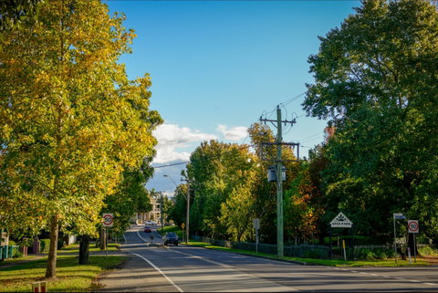 Berry Cycling Routes - Holiday Sunshine Coast 0