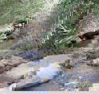 Bomaderry Creek Regional Park - Sunshine Coast Tourism