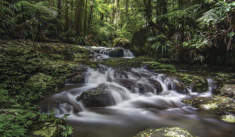 Protesters Falls Walking Track - Sunshine Coast Tourism 0